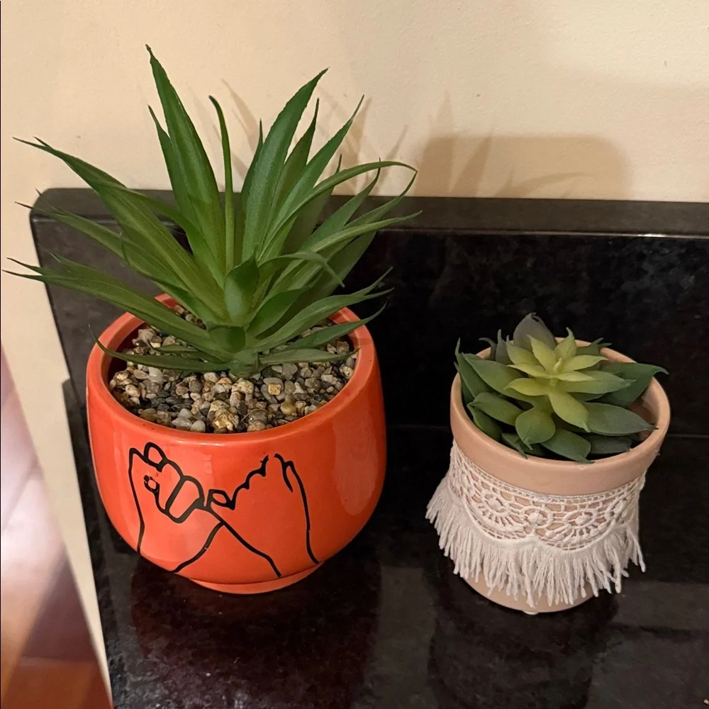 Two fake succulent plants in pots home or dorm decor